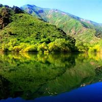 سردمداران علم پزشکی، زاده روستایی از توابع تفرش