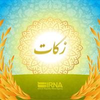 پرداخت زکات کلزا برای نخستین بار در ایلام