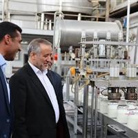 استاندار خراسان جنوبی: حمایت از واحدهای تولیدی در اولویت است