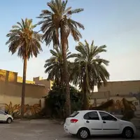 محله تاریخی «عامری» اهواز بهسازی می‌شود؛ ایجاد گذر فرهنگی در شرق کارون