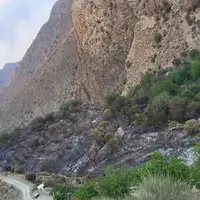 یکی از امن‌ترین و بکرترین مناطق ایران در آتش سوخت!