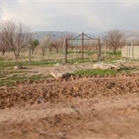 ۲۰ فقره تغییر کاربری اراضی کشاورزی در لرستان شناسایی شد