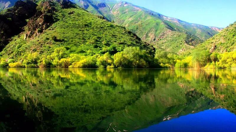 سردمداران علم پزشکی، زاده روستایی از توابع تفرش