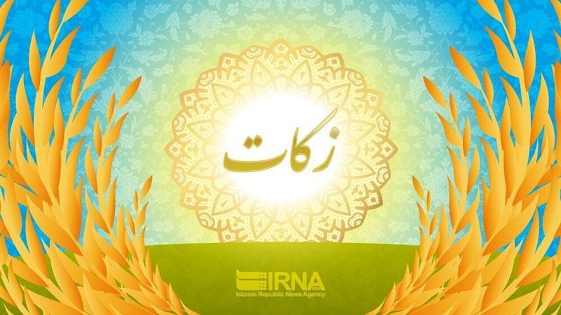 پرداخت زکات کلزا برای نخستین بار در ایلام