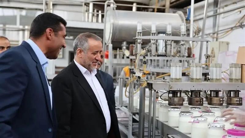 استاندار خراسان جنوبی: حمایت از واحدهای تولیدی در اولویت است
