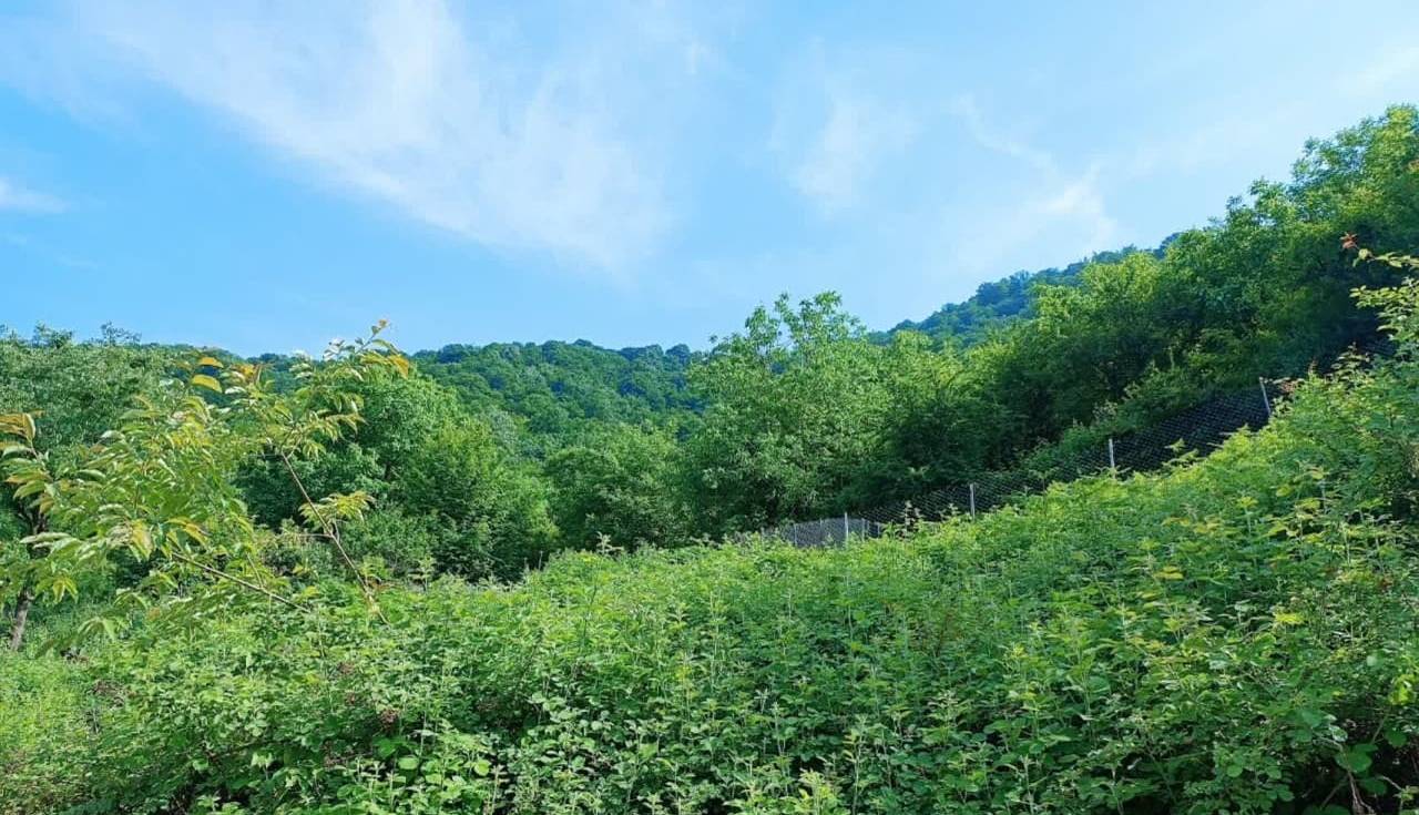 افزایش دمای هوا تا ۳۳ درجه در برخی مناطق استان مازندران