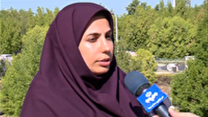 گسترش الگوی تابستانه در بوشهر؛ دمای هوا به ۴۶ درجه میرسد