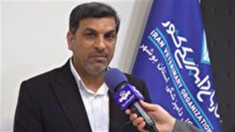 تولید ۲ برابری لارو میگو در استان بوشهر