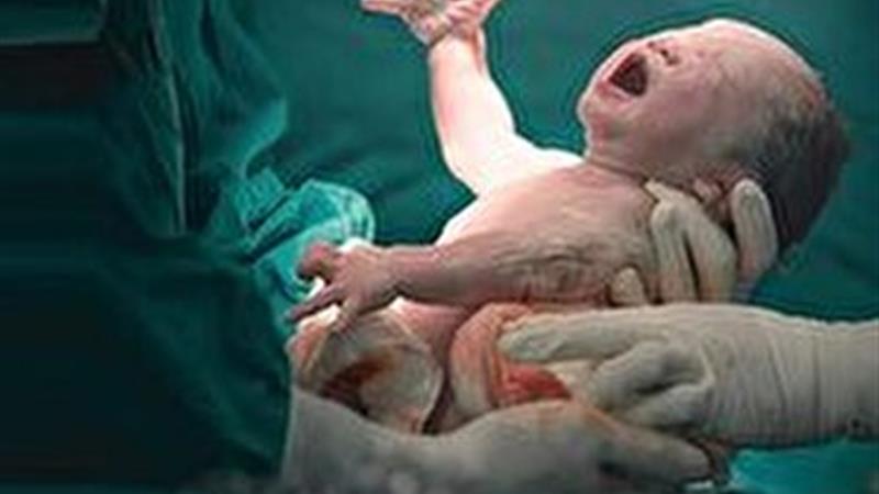 کاهش ۳.۶ درصدی ولادت در زنجان