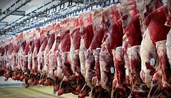 افزایش 18 درصدی عرضه گوشت قرمز طی یک سال