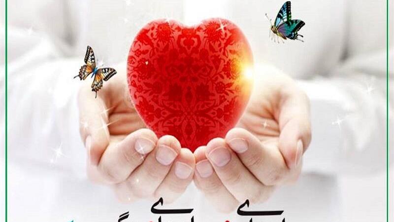 اعضای بدن نیمی از افراد دچار مرگ مغزی استان اردبیل اهدا میشود