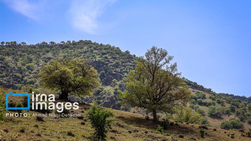 پیشبینی افزایش محسوس دما برای چهارمحال و بختیاری