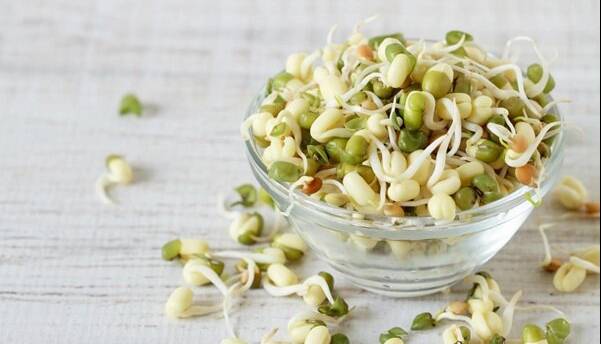 جوانه ماش؛ بمب ویتامین و پروتئین