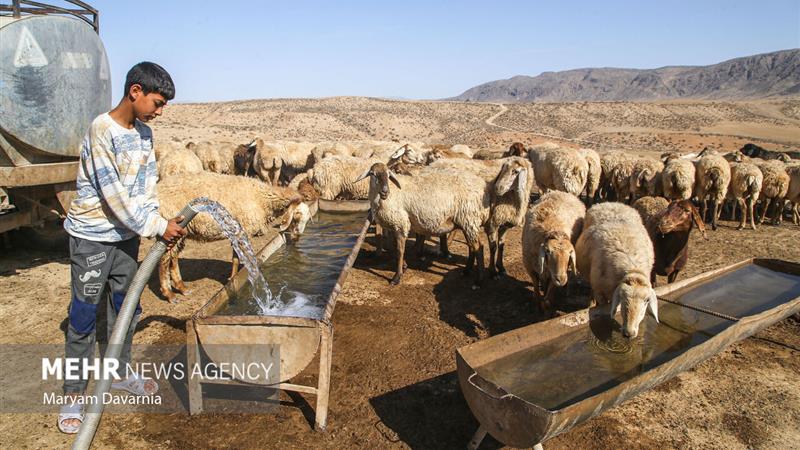 مشکل تأمین آب عشایر شهرستان ایوان بهزودی رفع میشود