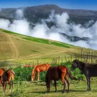 زیبایی های وصف نشدنی تالش در گیلان
