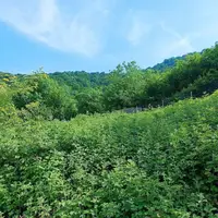 افزایش دمای هوا تا ۳۳ درجه در برخی مناطق استان مازندران