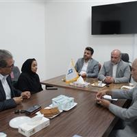 خراسان جنوبی پیشتاز اجرای طرح‌های صندوق اعتباری هنر است