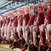 افزایش ۱۸ درصدی عرضه گوشت قرمز طی یک سال