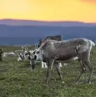 گوناگون/ ۵ مکان روی زمین که خورشید هرگز در آن‌ها غروب نمی‌کند