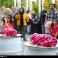 هشدار سازمان غذا و دارو: عرقیات فاقد مجوز بهداشتی نخرید