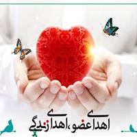 اعضای بدن نیمی از افراد دچار مرگ مغزی استان اردبیل اهدا می‌شود