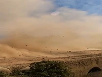 عکس‌العمل راننده‌های رالی هنگام خطر
