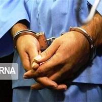 چاقوکش سابقه‌دار در یکی از محله‌های ایلام دستگیر شد