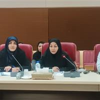 ۷۲ درصد زنان تحت پوشش بهزیستی قزوین بیمه ندارند