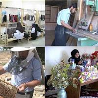 پرداخت ۲۵ میلیارد تومان تسهیلات قرض الحسنه به مددجویان