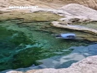 یکی از شفاف‌ترین حوضچه‌های ایران در استان هرمزگان