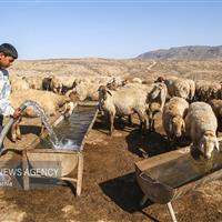مشکل تامین آب عشایر شهرستان ایوان به زودی رفع می شود
