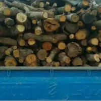 توقیف خودروی حامل ۲ تُن چوب قاچاق در رودان