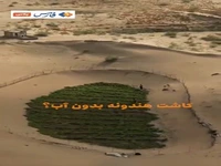 کاشت هندوانه وسط کویر!