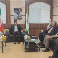 دستگاه های اجرایی تامین ۲۰ درصد برق از پنل های خورشیدی را اجرایی کنند