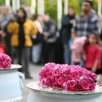 هشدار سازمان غذا و دارو: عرقیات فاقد مجوز بهداشتی نخرید