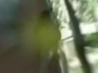 عملیات دستگیری موادفروشان و معتادان متجاهر در اصفهان