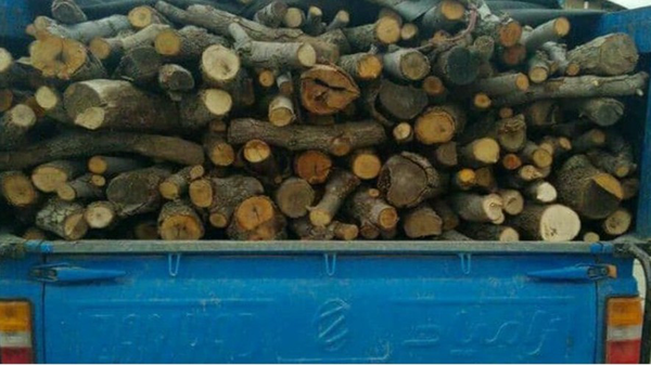 توقیف خودروی حامل ۲ تُن چوب قاچاق در رودان