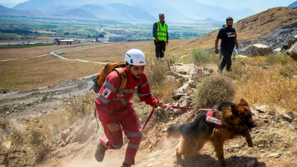 سه طبیعت گرد در ارتفاعات گلمکان نجات یافتند