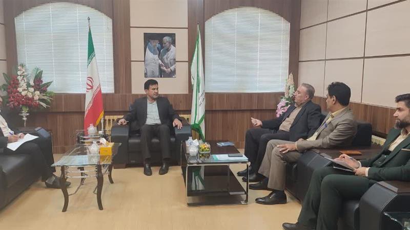 دستگاههای اجرایی تأمین ۲۰ درصد برق از پنلهای خورشیدی را اجرایی کنند