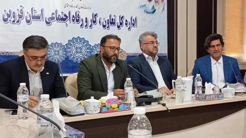 قزوین رتبه نخست تولید نان کامل؛ مصرف سالانه ۳۰ هزارتن آرد