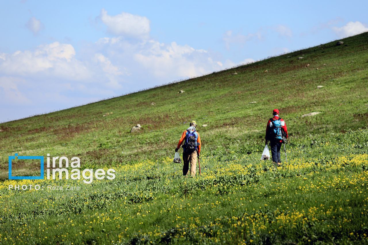 عکس/ طبیعت بهاری دامنه کوه سبلان