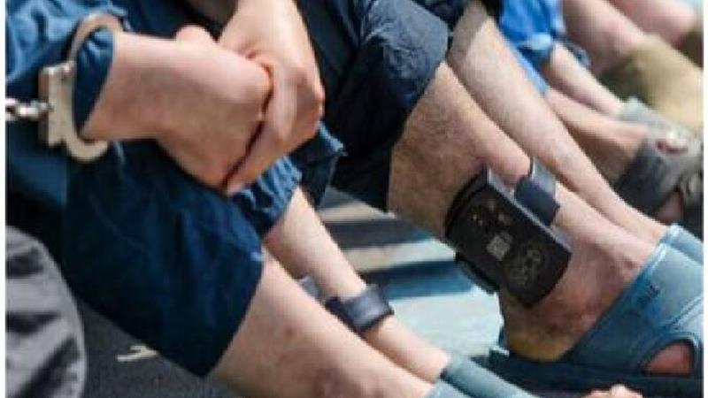 افزایش ۴۳ درصدی حبس تحت مراقبت الکترونیک در البرز