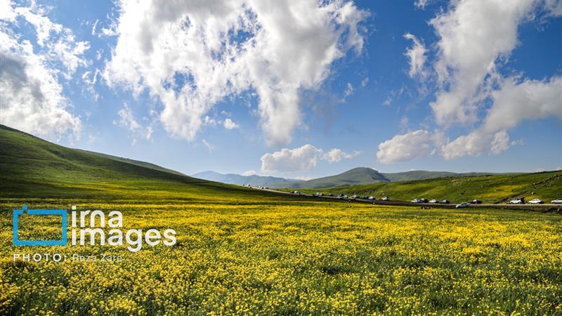 طبیعت بهاری دامنه کوه سبلان