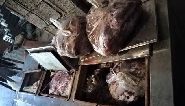 کشف 300 کیلوگرم گوشت گراز در سوادکوه