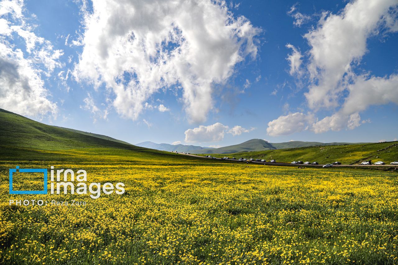 عکس/ طبیعت بهاری دامنه کوه سبلان
