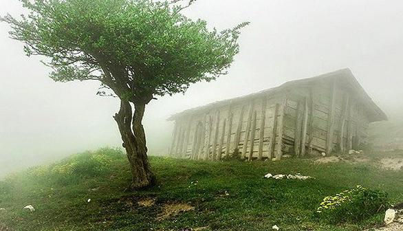 باران بهاری به گیلان برمی‌گردد