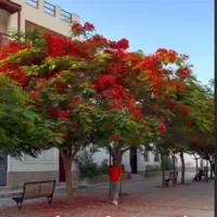 لوکیشن زیبای عکاسی برای بوشهری ها