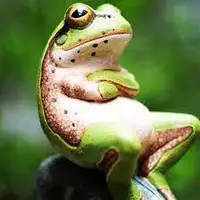 داستانک/ خودت را به کری بزن!