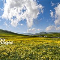 طبیعت بهاری دامنه کوه سبلان