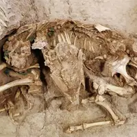 کشف اسکلت‌های ۴ هزار ساله در بابل 